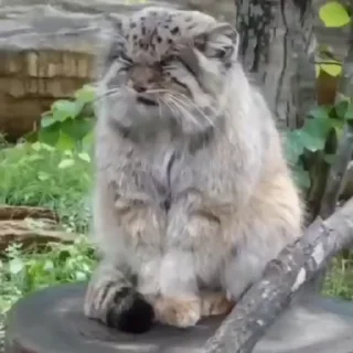 😣