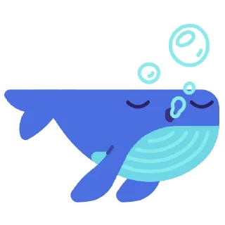 💤