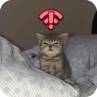 🌟