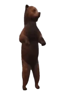 🐻