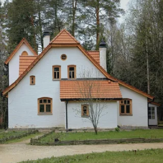 🏘️