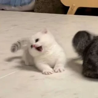 😩