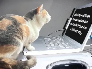 💻
