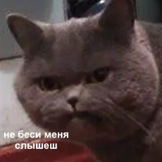 😡