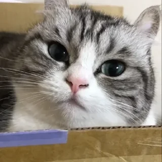 😒