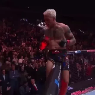 🤩