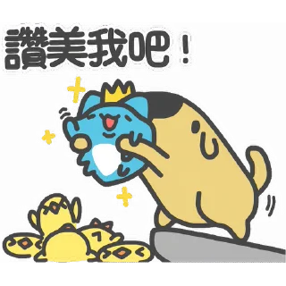 ✨