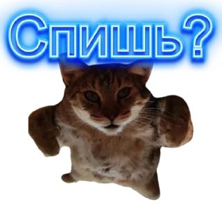 👺