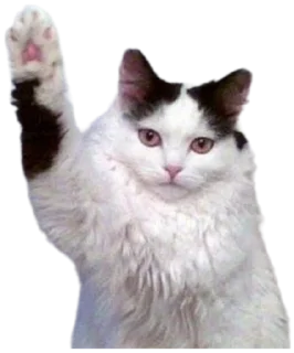 👋