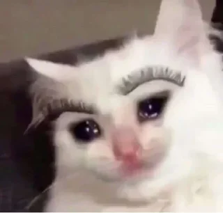 😭