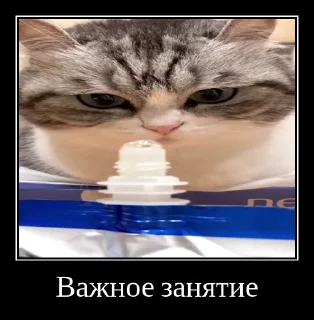 😉