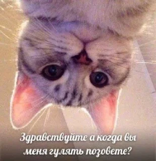 🙃