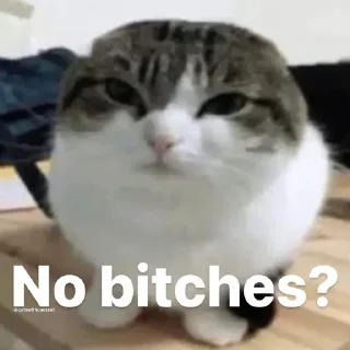 ❓