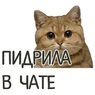👎