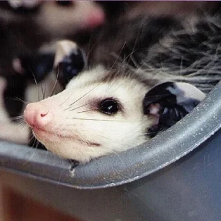 😀