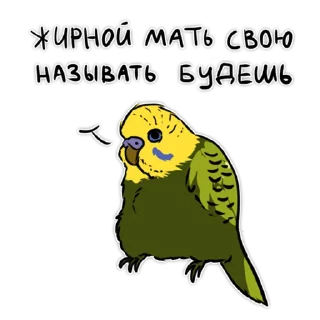 Злі папуги @artstriks