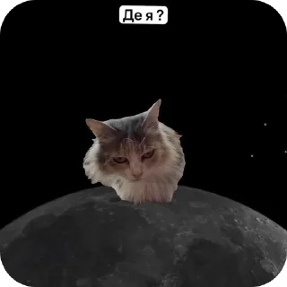 Биг Кицюня и её котята~