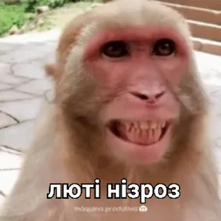 👹