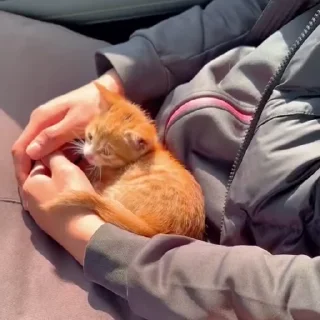 😴