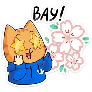 ⭐