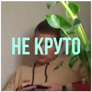 🤪