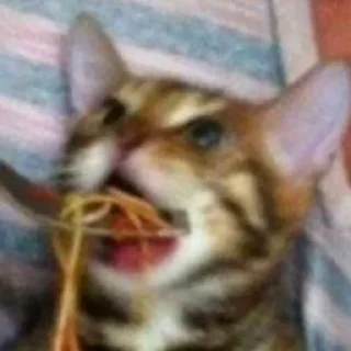 😦