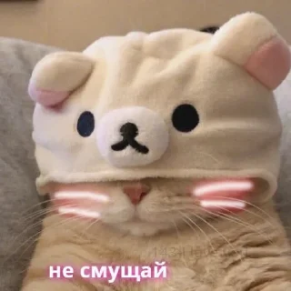 🙈