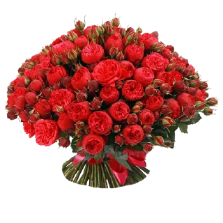 🌹