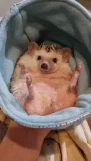 😊