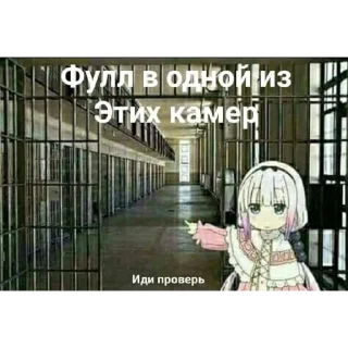 🖼️