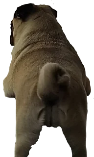 😏