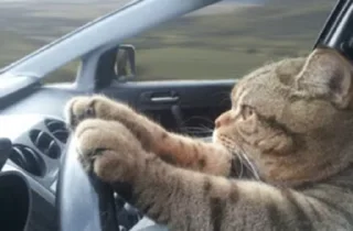 🚘