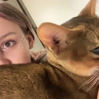 🌟