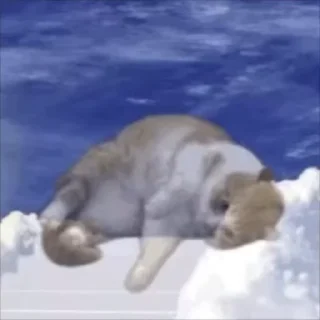 💀