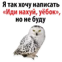 😂