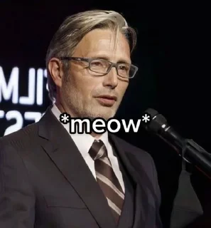 😽