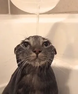 😐