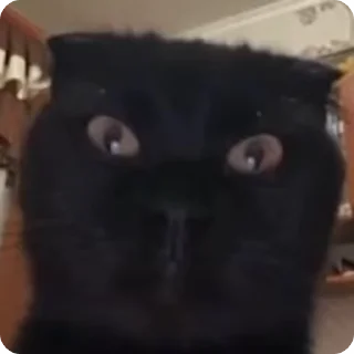 😦