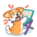 🫣