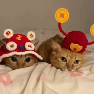 🤗