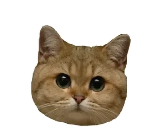 😠