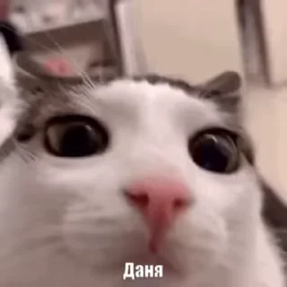 🥹