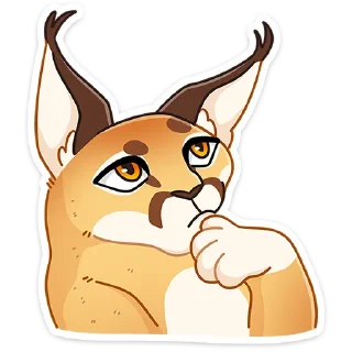 😼