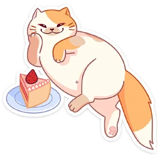 🍰