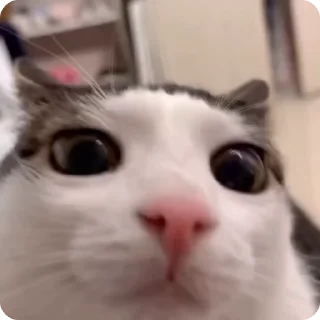 🤯