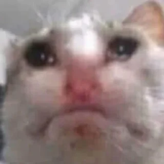 😢