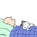 😴