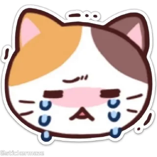 😭