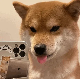 📱