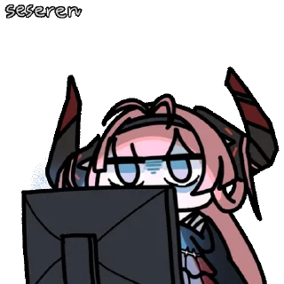 🖥️